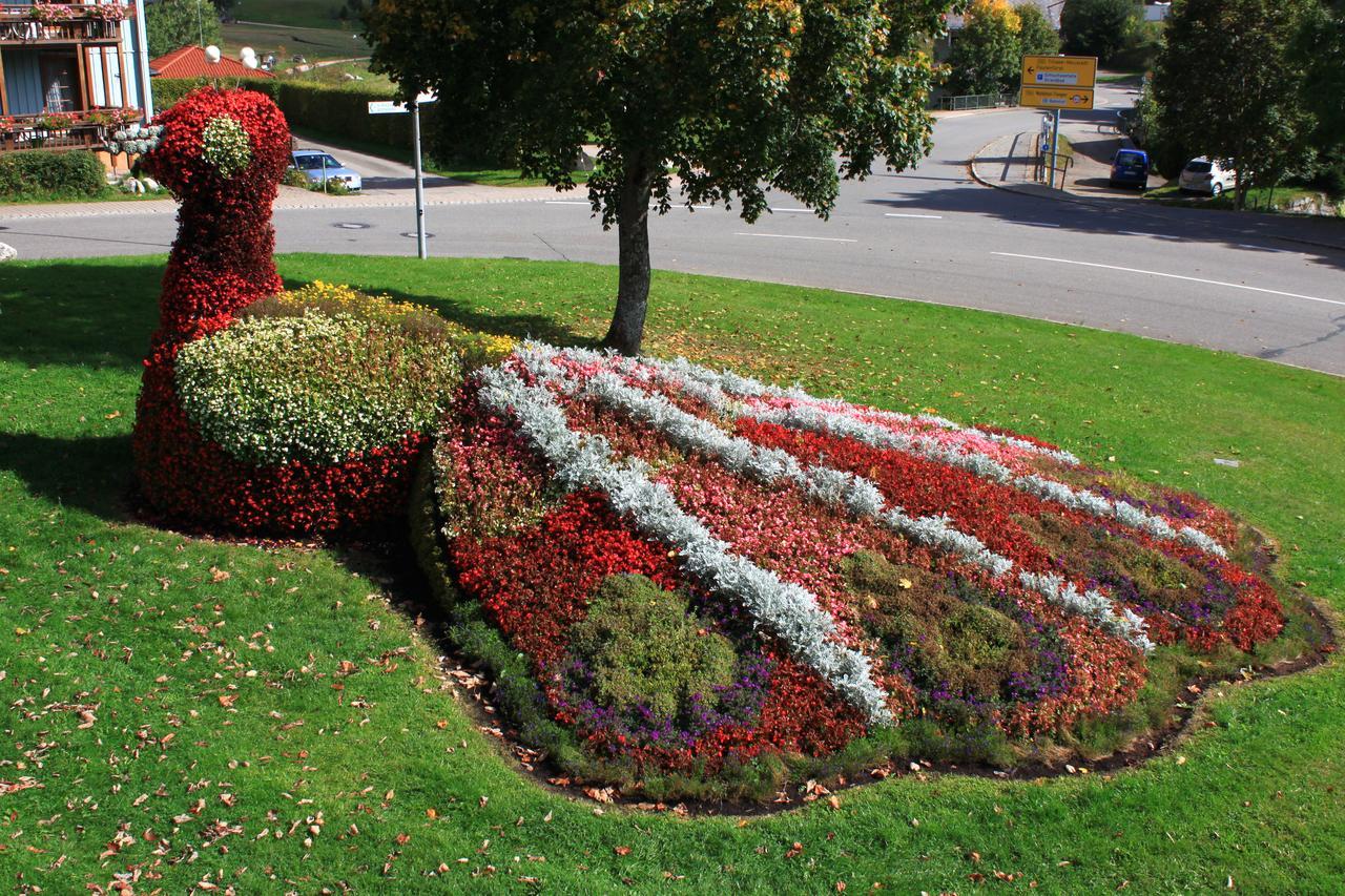 Hotel Hochschwarzwald-Hof Schluchsee Zewnętrze zdjęcie