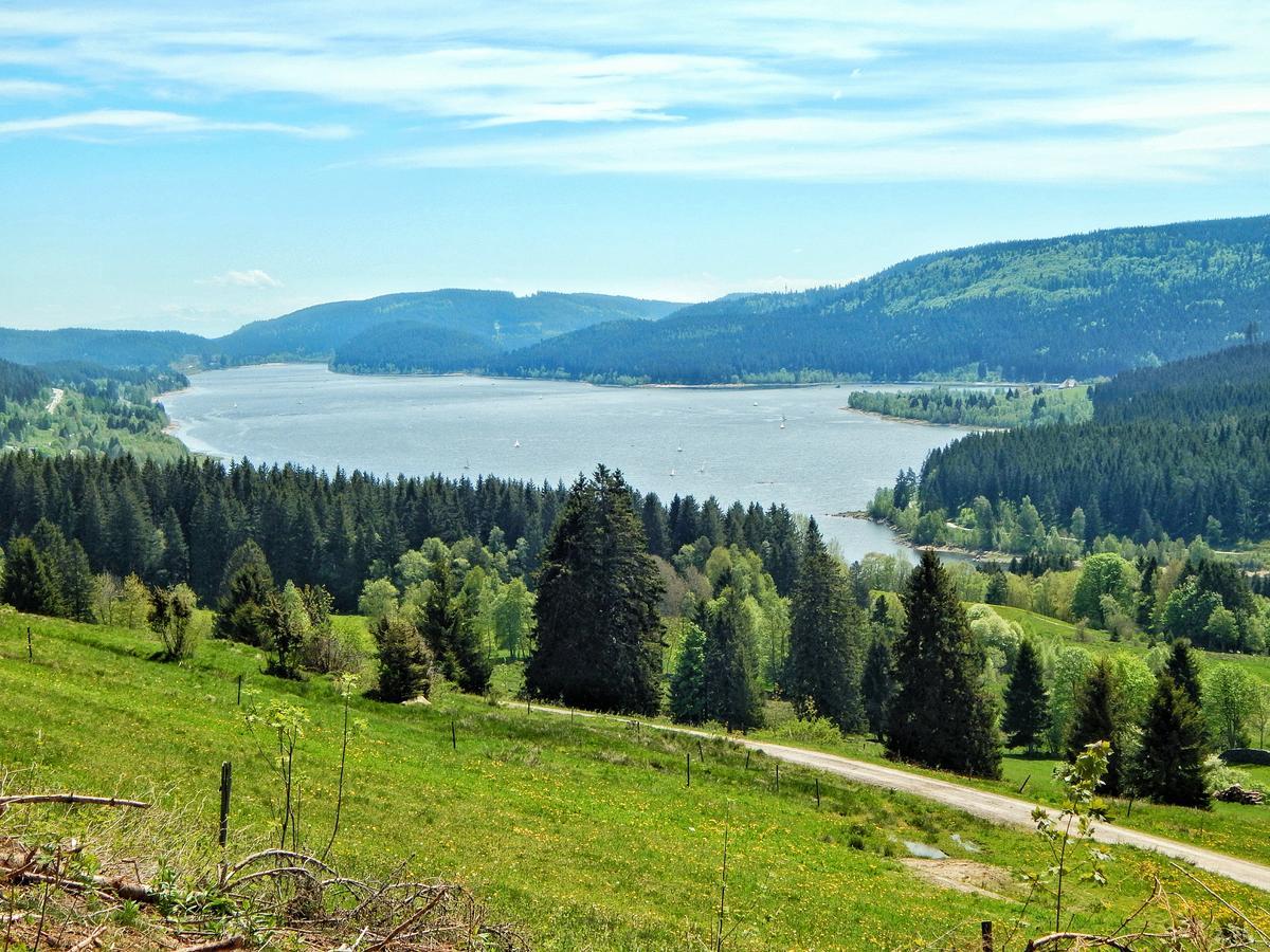 Hotel Hochschwarzwald-Hof Schluchsee Zewnętrze zdjęcie